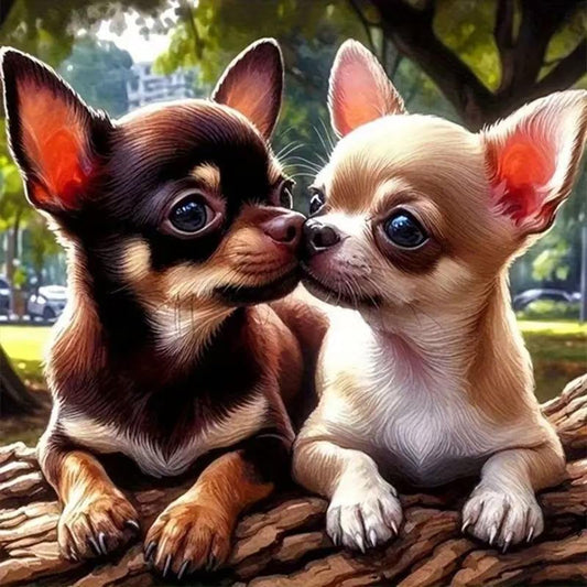 NEW Two Chihuahuas (Full drill - round diamonds) 12"x12"
