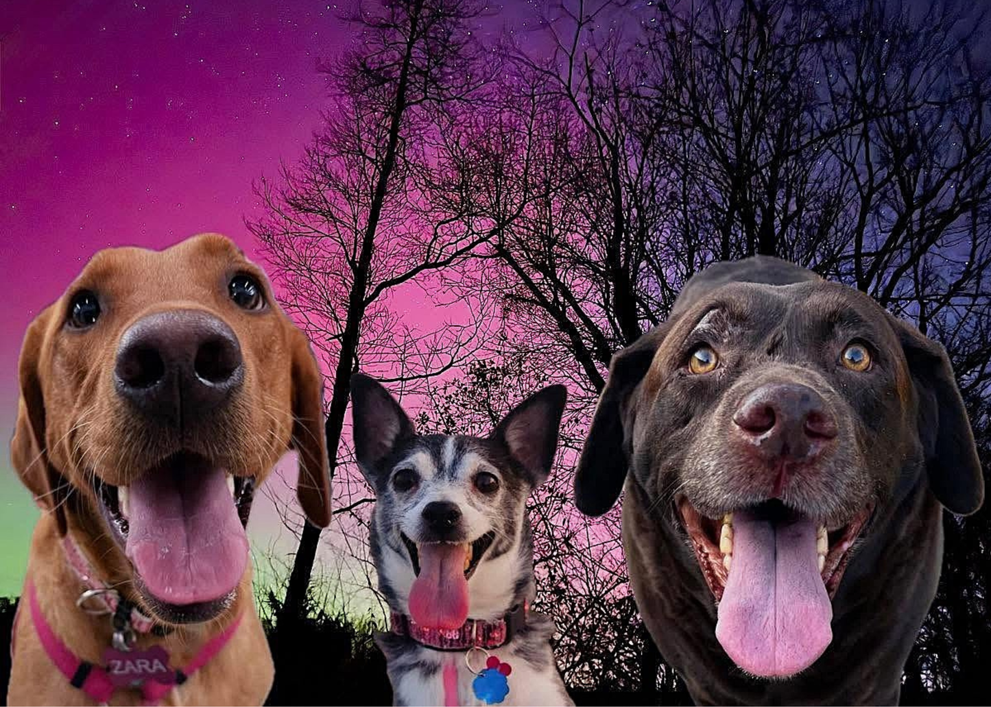customs